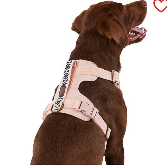 Top Paw® Explorer Collection Comfort Dog Harness